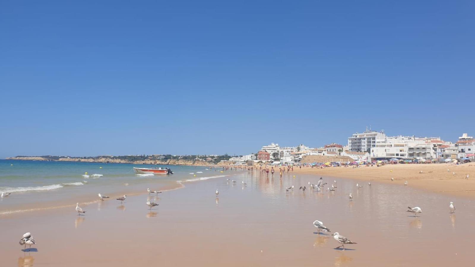 אלקנטרילה Villa Algarve מראה חיצוני תמונה